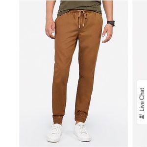 Size 32 Express Joggers